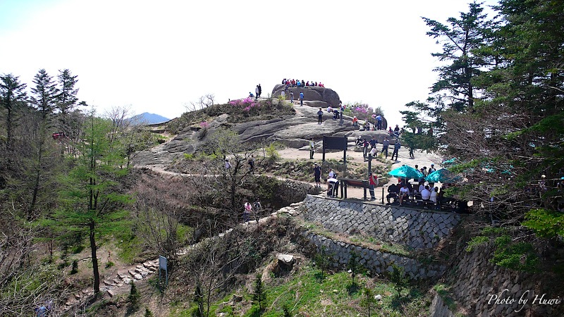 사용자 삽입 이미지